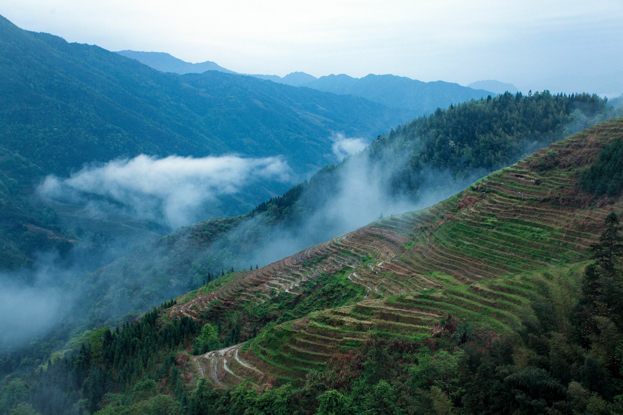 Baike Boutique Hotel Longsheng Eksteriør bilde